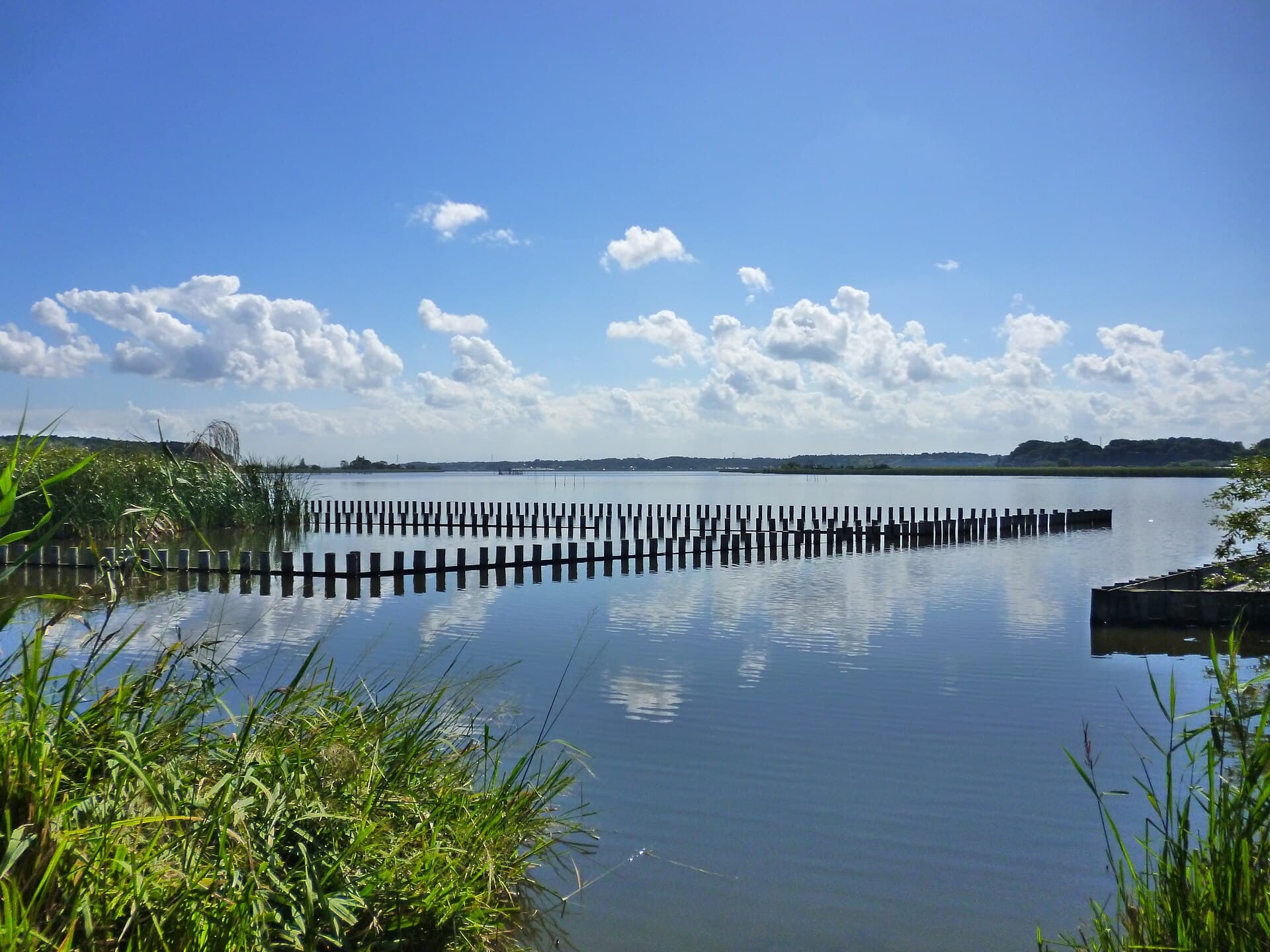Lake Tega, Kashiwa/Abiko (Chiba)